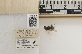 Media type: image;   Entomology 790801 Aspect: Labels
